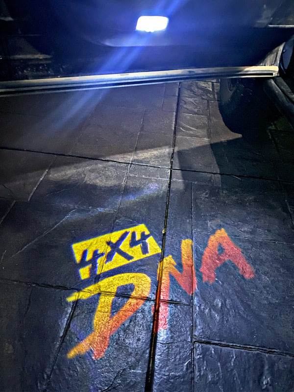 4x4 DNA